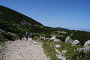DSC09964