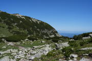 DSC09941