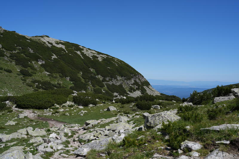 DSC09941