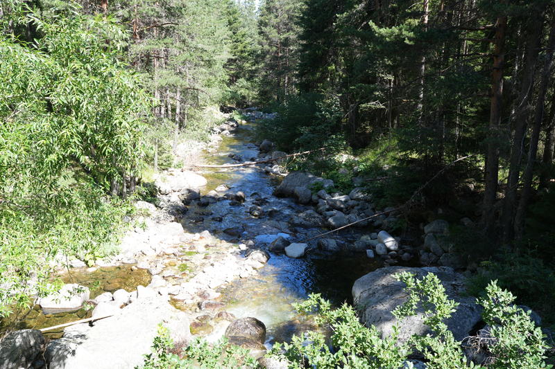 DSC09976