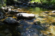 DSC09978