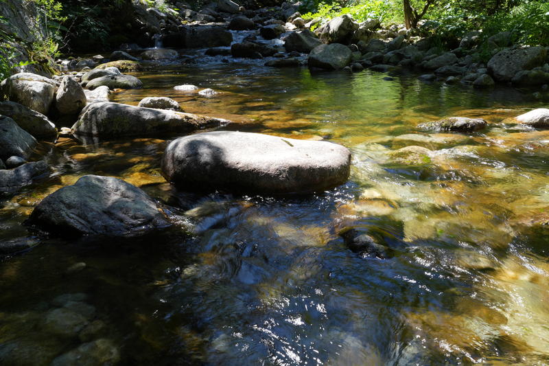 DSC09978