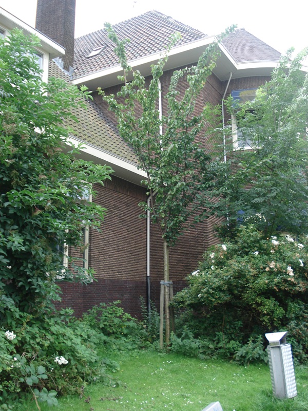 Leiden035
