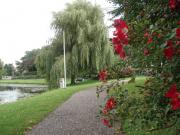 Leiden036