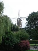 Leiden038