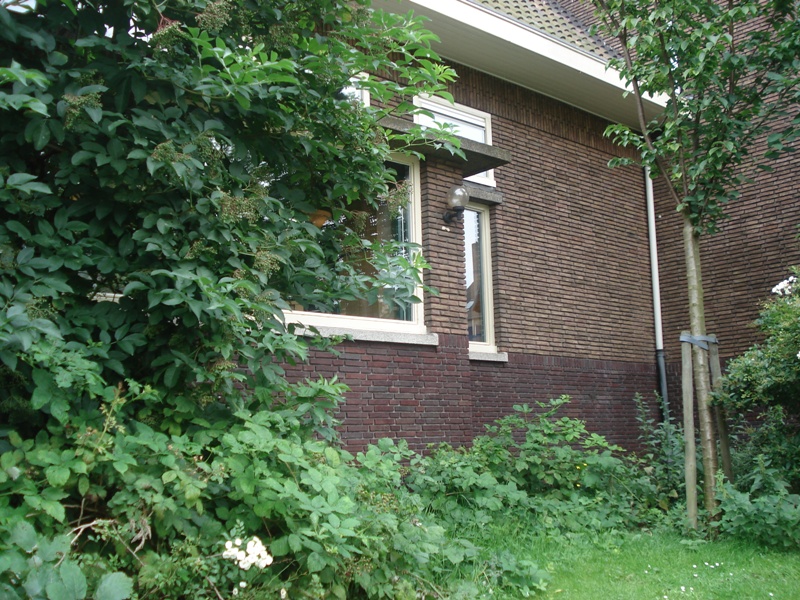 Leiden034