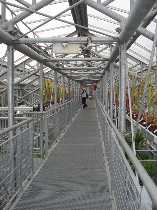 Leiden103