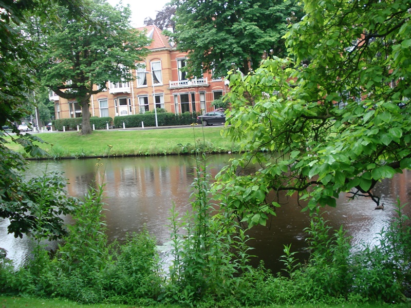 Leiden247
