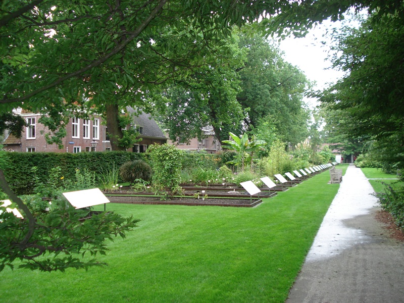 Leiden257