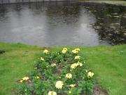 Leiden266