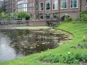 Leiden267