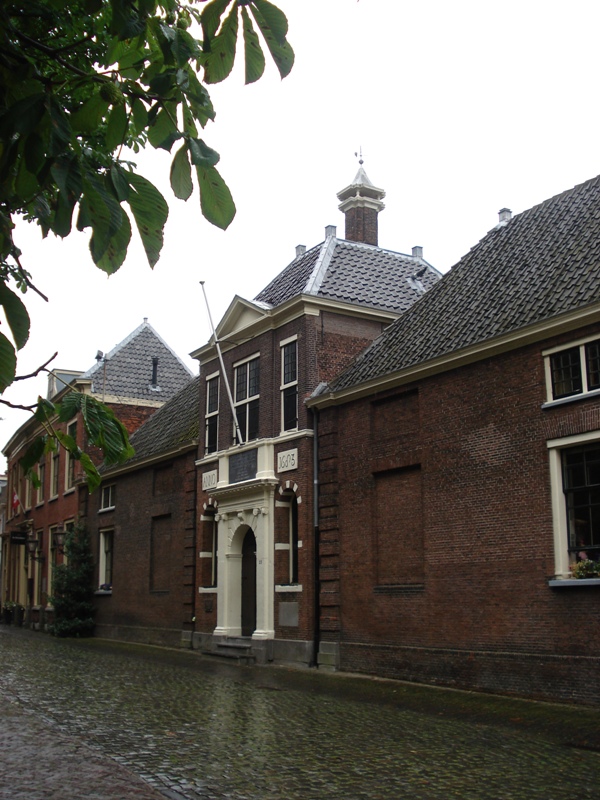 Leiden293