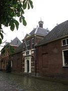 Leiden293