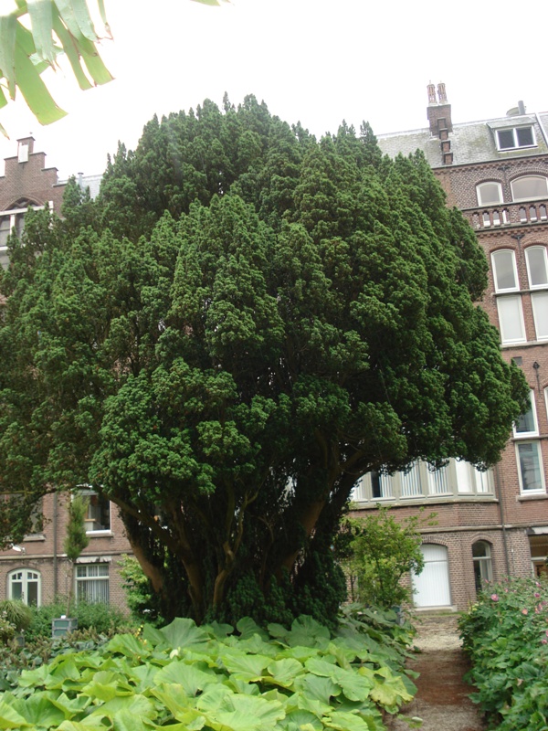 Leiden278