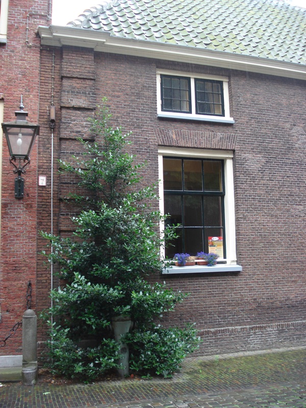 Leiden298