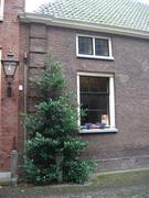Leiden298
