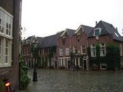 Leiden310