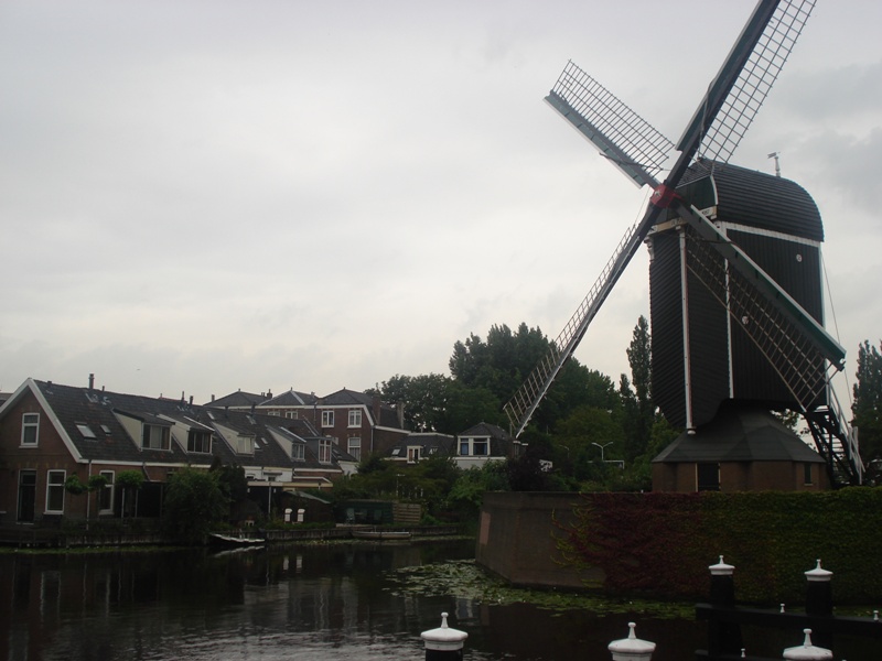 Leiden336