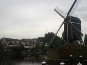 Leiden336